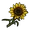 Objet Tournesol
