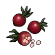Item BloodRoseSeed