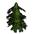 Item CypressSapling