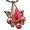 Bijou Amulettedemerlotsanglant