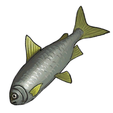 Fish - Wikipedia
