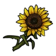 Item Sunflower