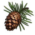Item PineSapling
