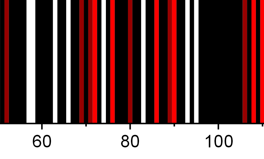 VroniPlag Wiki