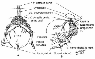 Picture of VroniPlag Wiki