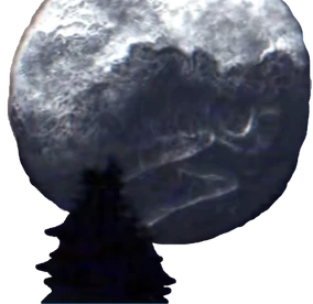 その他 moon The Moon: Cody Crane: 9780531228623 - Christianbook.com