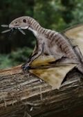 Peteinosaurus