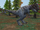 Carnotaurus (Zoo Tycoon 2)