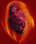 The physical form of the Heart of Lorkhan