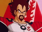 King Vegeta