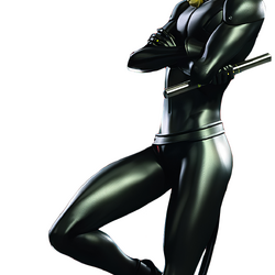 Cat Noir, VS Battles Wiki