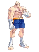 Street Fighter Alpha 2