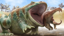 Beelzebufo