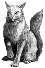 Gyrinx