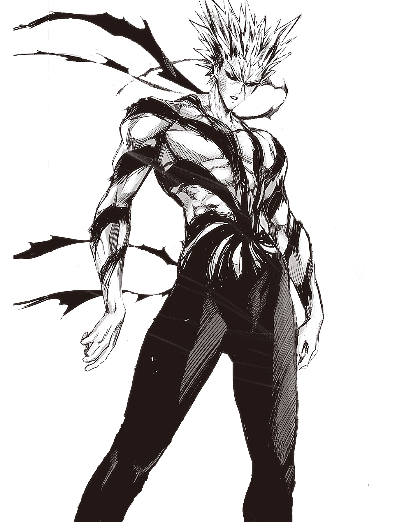 Garou, One-Punch Man Wiki