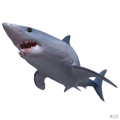 Shaky Shark™