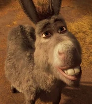 Donkey