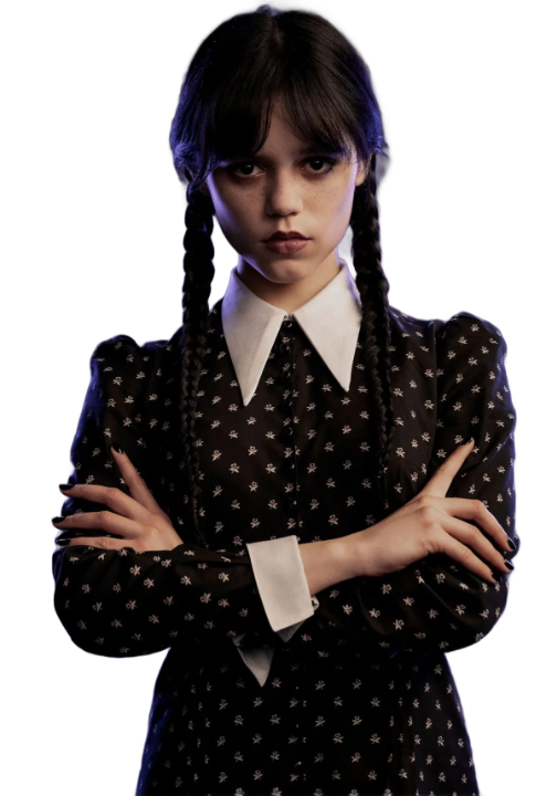 Wednesday Addams, Wednesday Wiki