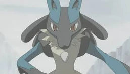 Lucario (M08)