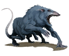 Dire Rat