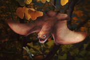 Anurognathus