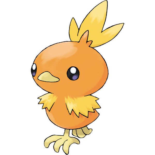 How To Evolve Torchic Into Combusken And Blaziken In Pokemon