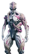 Nidus