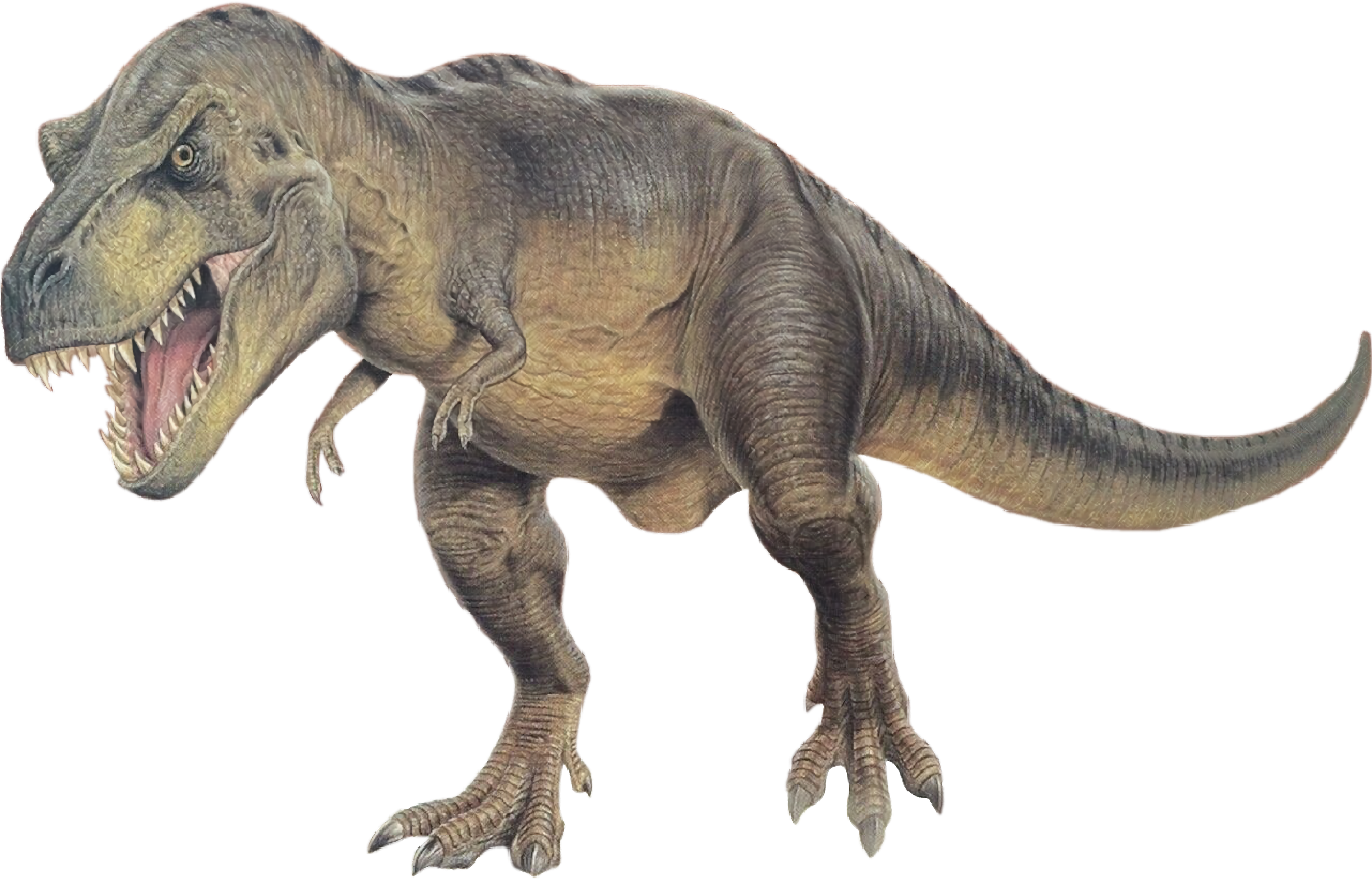 Tyrannosaurus, Dinosaur Wiki