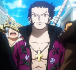 Dracule Mihawk, Wiki Fiction Battlefield