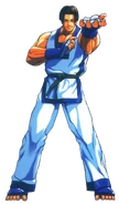 Kim Kaphwan (Fatal Fury) | VS Battles Wiki | Fandom