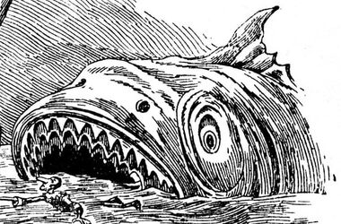The Terrible Dogfish | VS Battles Wiki | Fandom
