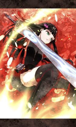 Anime Twin Star Exorcists HD Wallpaper by Yoshiaki Sukeno