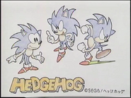 HedgehogConcept