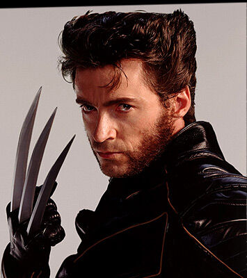 User blog:Numbersguy/Wolverine (Hugh Jackman) vs Spiderman (Andrew  Garfield) | VS Battles Wiki | Fandom