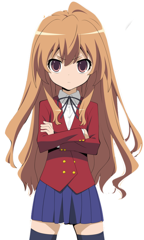 Taiga Aisaka (Toradora!) - Incredible Characters Wiki