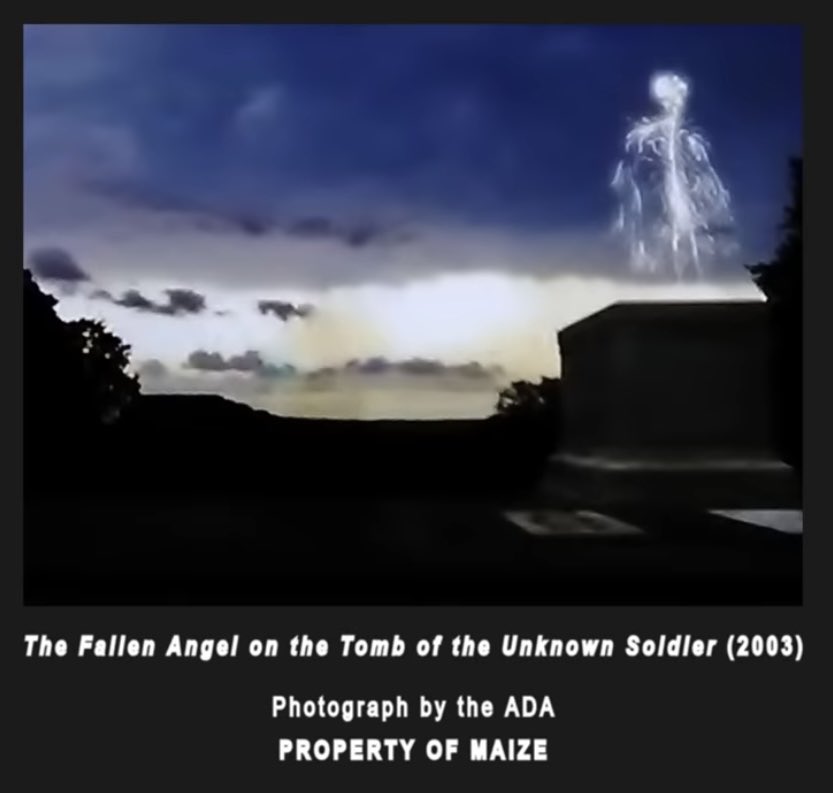 Air Force One Angel VS Battles Wiki Fandom