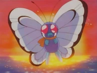 Butterfree