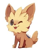 Lillipup
