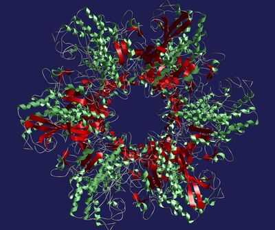 Samples of a complex prion, its SCP-008! : r/SCP