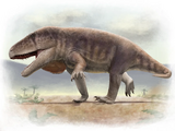 Erythrosuchus