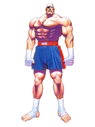 Super Street Fighter II: The New Challengers