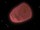 Asteroid (Solar 2)