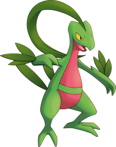 473px-253Grovyle PMD Explorers