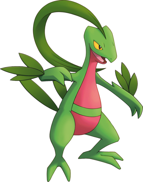 Grovyle, Victory Road Wiki