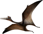 Quetzalcoatlus