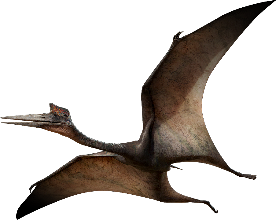 quetzalcoatlus pterosaur