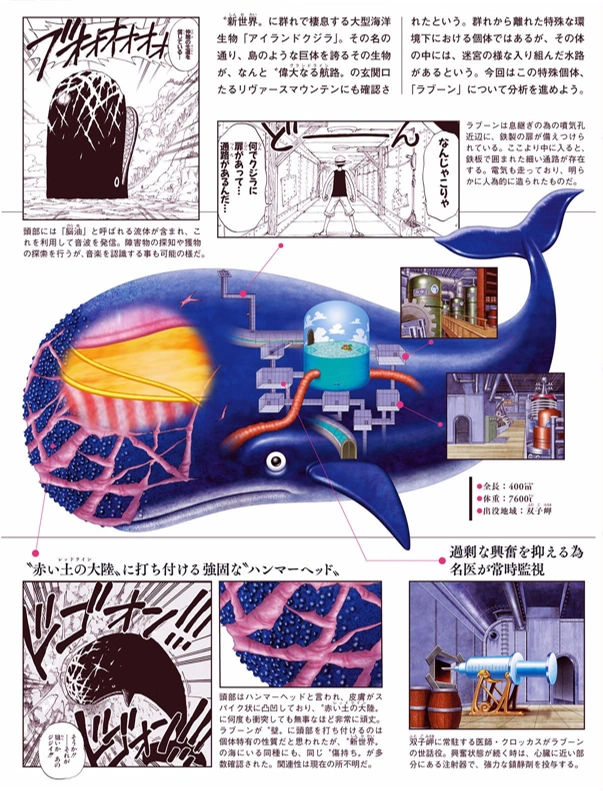 User Blog Ryuga21 One Piece Beginning Of Grandline Feats Vs Battles Wiki Fandom