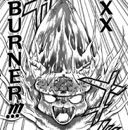 XX-Burner