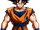 Son Goku (Dragon Ball Z)