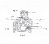 SCP-001 (S. D. Locke's Proposal), VS Battles Wiki